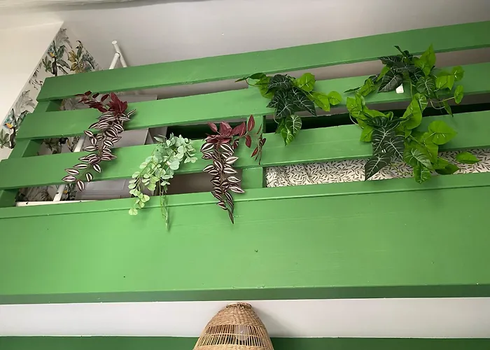 Secret Jungle