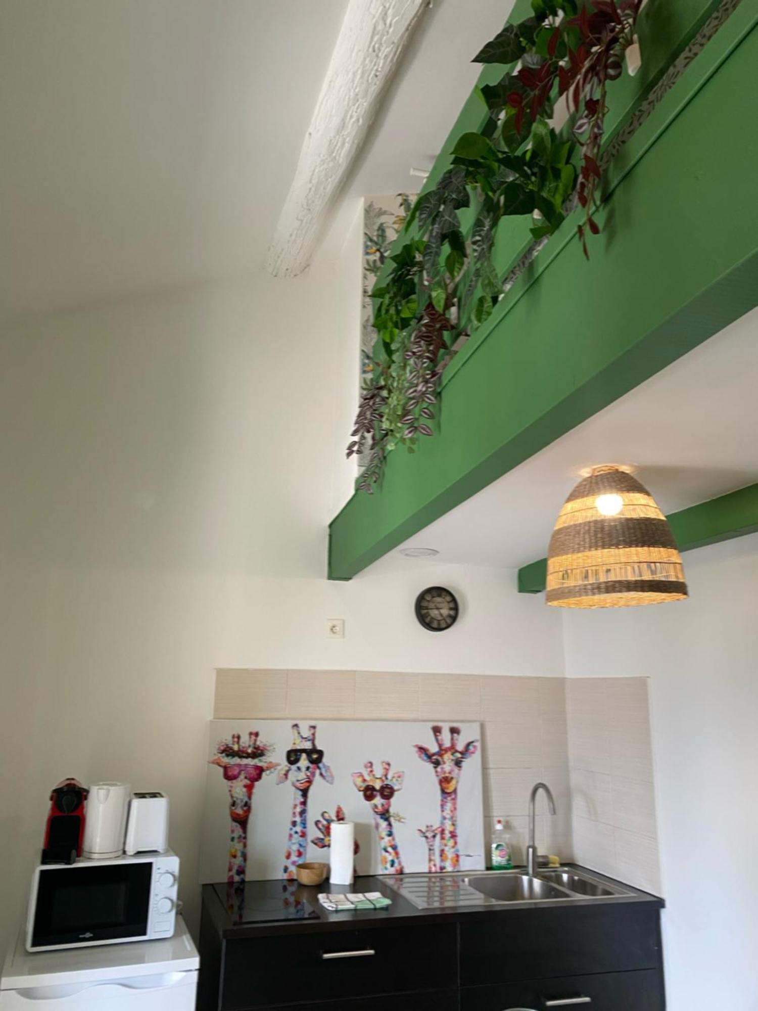Apartment Secret Jungle Marseilles